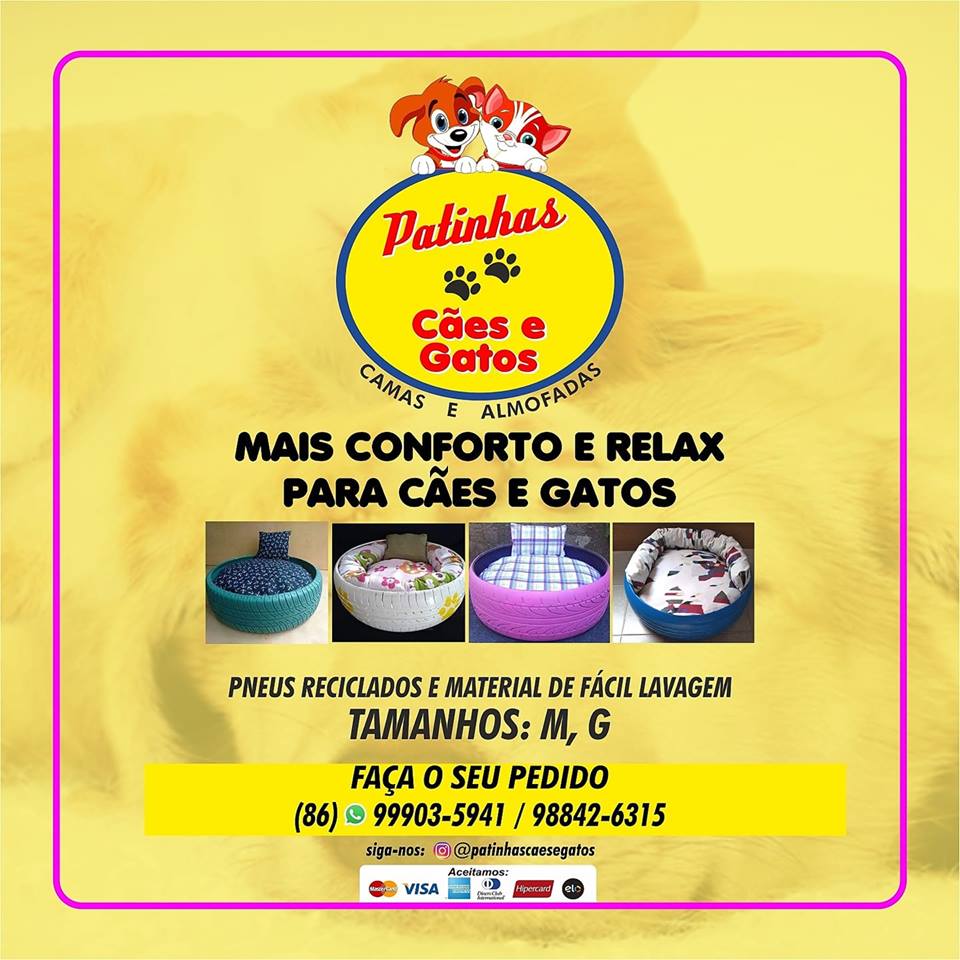 DICA de caminhas pets para cães e gatos